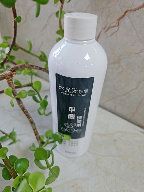 2025年家用除甲醛方法效果大測評 睿容環保等產品深度解析